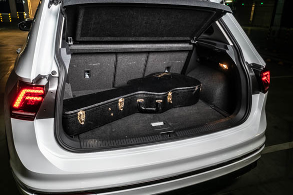 Фото: Родион Газманов