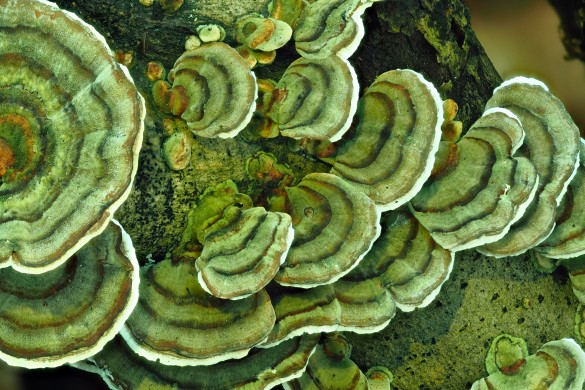 Фото: GLOBAL LOOK press/Erhard Nerge