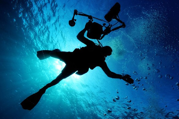 Фото: pixabay.com