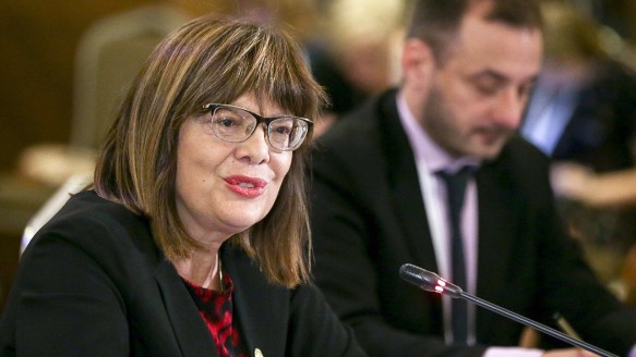Майя Гойкович. Фото: duma.gov.ru