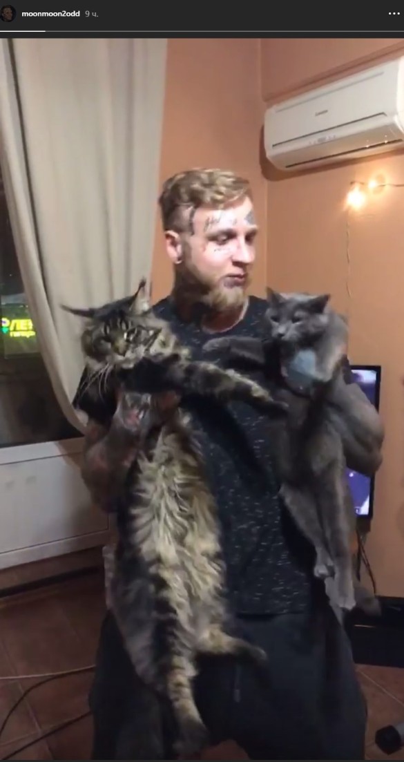 Фото: instagram.com/moonmoon2odd