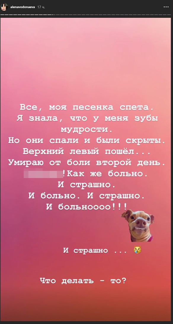 Фото: instagram.com/alenavodonaeva