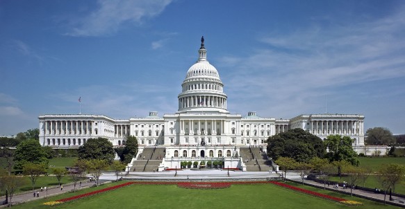Фото: commons.wikimedia.org