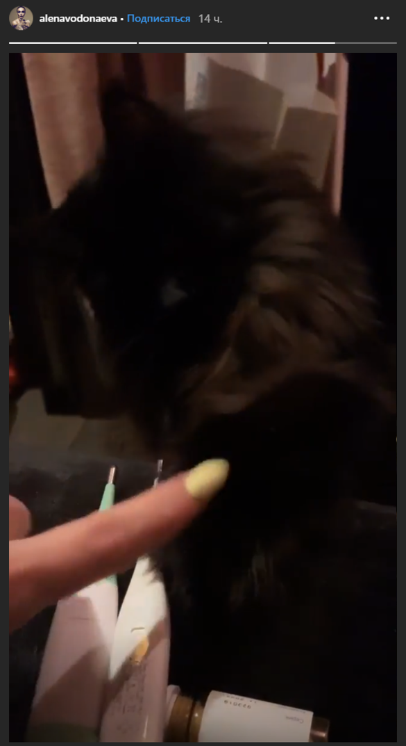 Алена Водонаева. Фото: instagram.com/alenavodonaeva