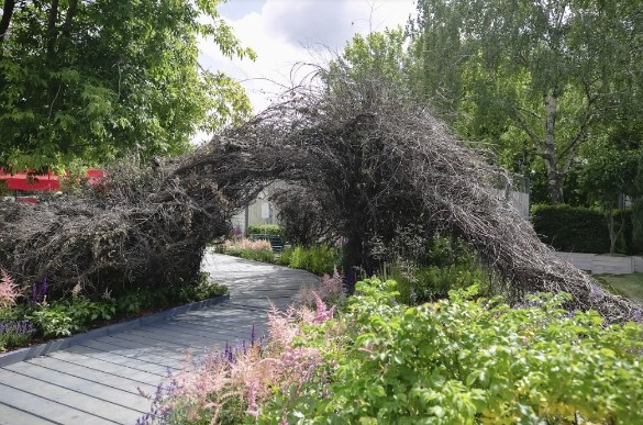 Фото: Пресс-служба