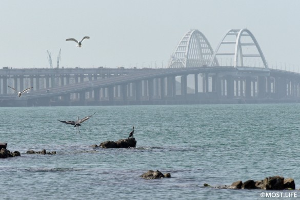 С момента открытия по Крымскому мосту проехали более пяти миллионов автомобилей. Фото: most.life/multimedia