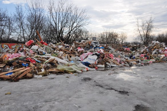 Фото: Агентство городских новостей "Москва"