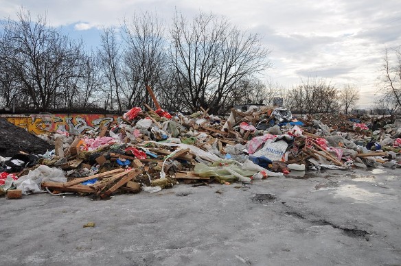 Фото: Агентство городских новостей "Москва"