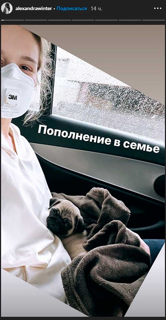 Фото: instagram.com/stories/alexandrawinter