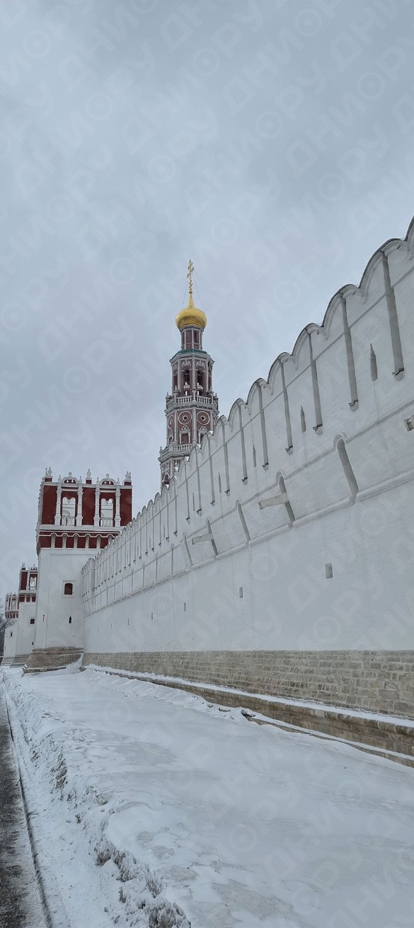 Фото: Дни.ру