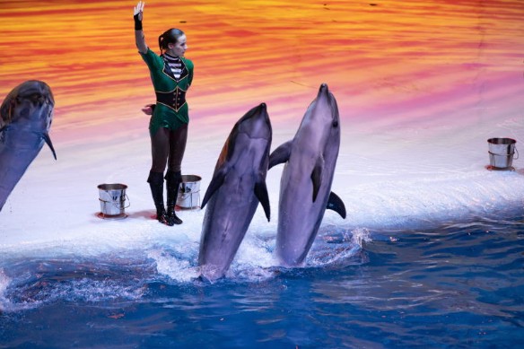 Фрагмент шоу "Москвариума". Фото: пресс-служба