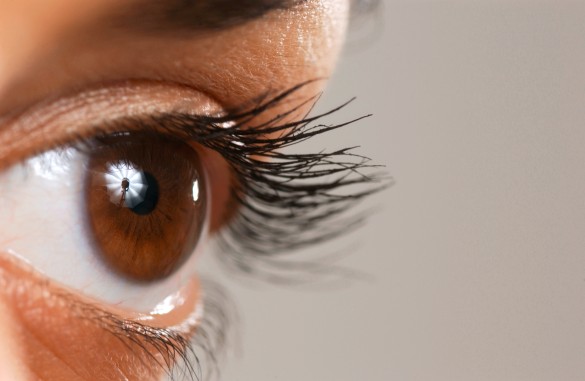 Глаза в глаза: как сохранить зрение, работая за компьютером
