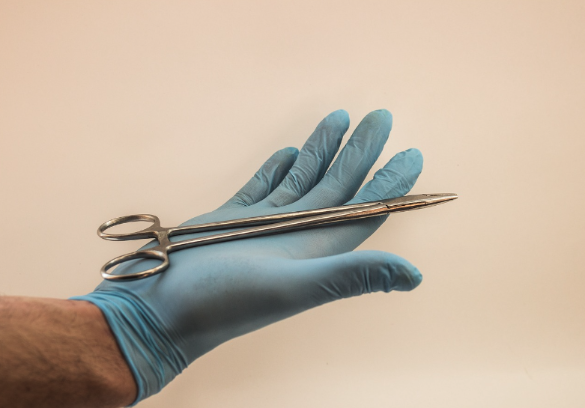 Фото: ymkaaaaaa/Pixabay