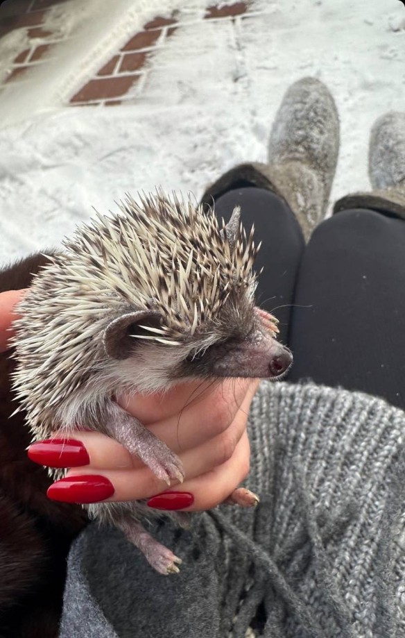 Фото: соцсети / @anna_zavorotnyuk