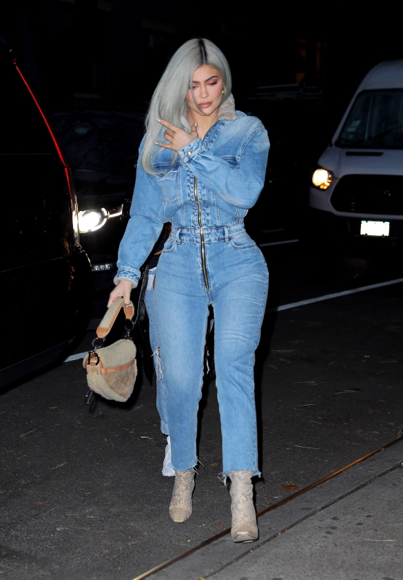 Кайли Дженнер. Фото: AUG/face to face / AUG/face to face / www.globallookpress.com