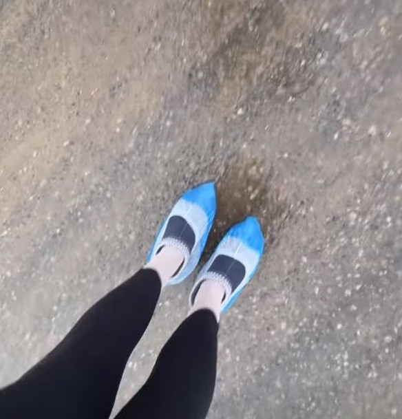 Фото: соцсети / @pinchuk_official