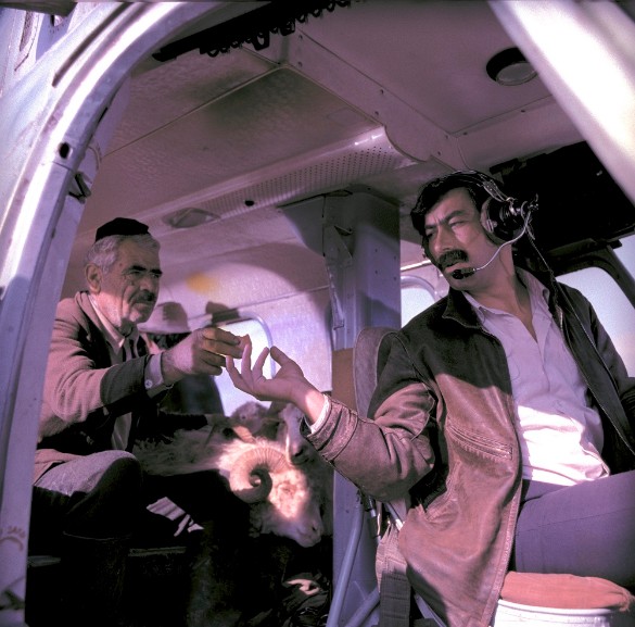 Фото: Russian Look / www.globallookpress.com