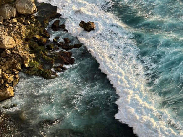 Фото: из личного архива Татьяны Тереховой