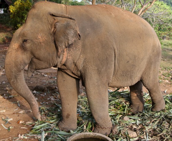 Фото: Maksim Konstantinov / Global Look Press / www.globallookpress.com