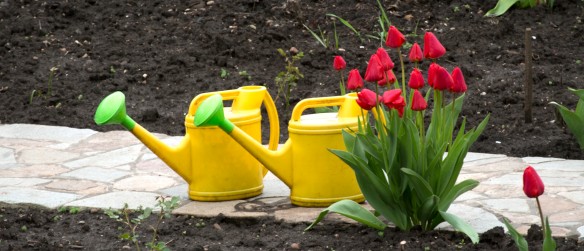 Фото: Nikolay Gyngazov / Global Look Press / www.globallookpress.com