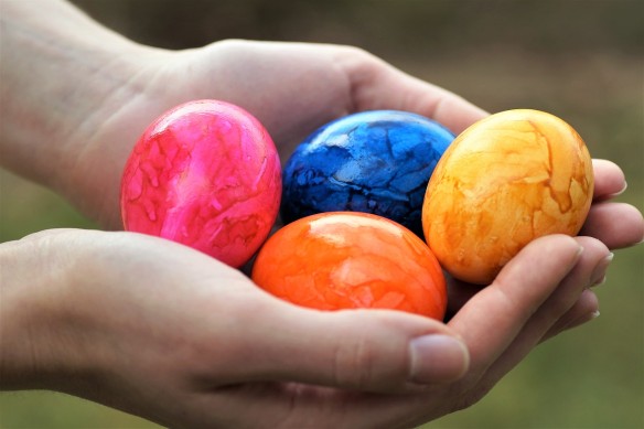 Фото: ivabalk / pixabay.com