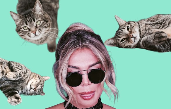 Коллаж: Дни.ру. Фото: Феликс Грозданов / Дни.ру