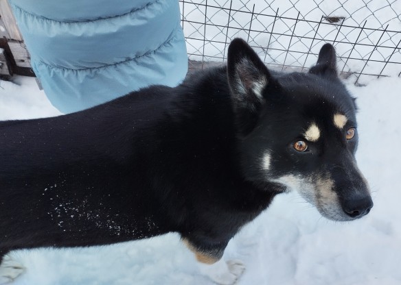 Фото: Екатерина Ежова