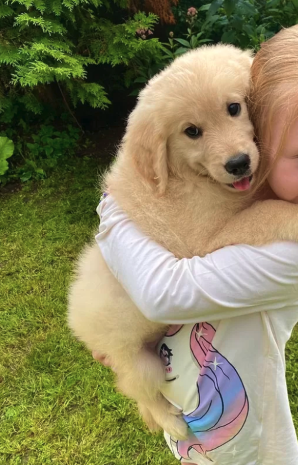 Фото: соцсети