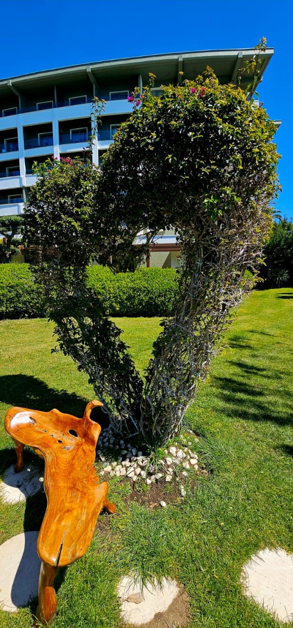 Фото: Дни.ру