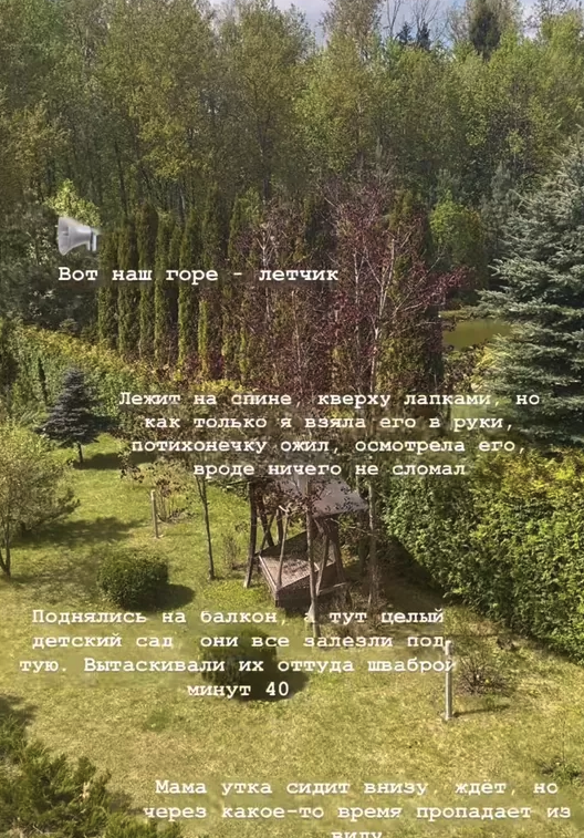 Анна Заворотнюк. Фото: соцсети