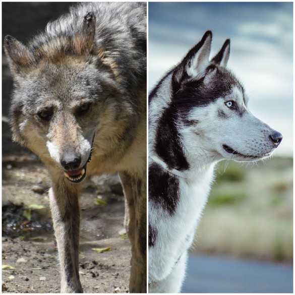 Фото: freepik.com / Фото: freepik.com