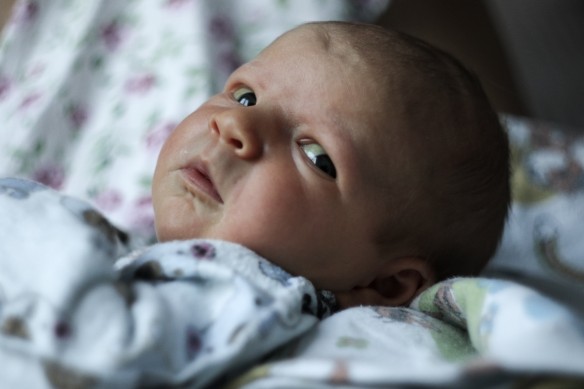 Фото: Ольга Райчева