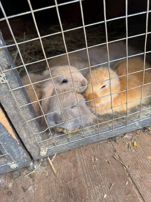 Фото: Telegram / @katerinashpitsa