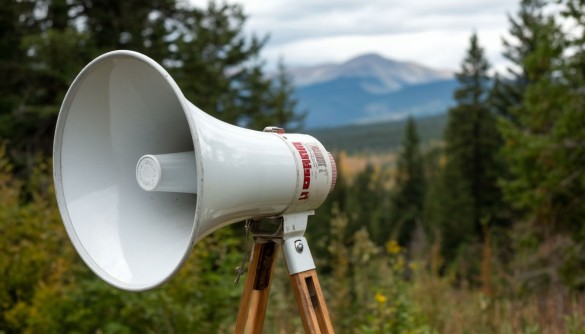 Фото: "ДНИ.РУ"