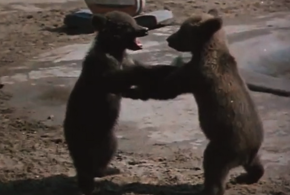 Кадр из кино СССР