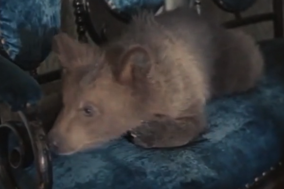 Кадр из кино СССР