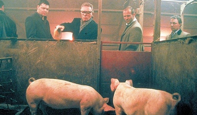 Безумные регионы: ростовчанин бросил труп мужчины на съедение свиньям