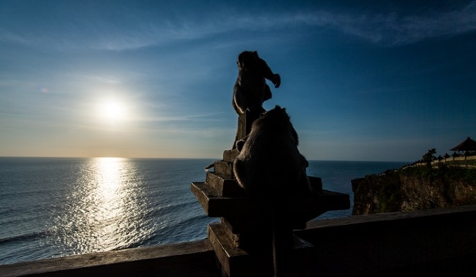 Селфи с дьяволом на Бали едва не стоило жизни туристке (видео)