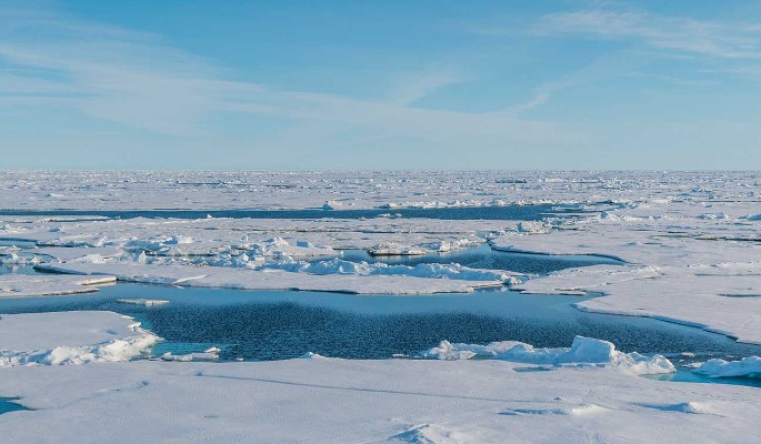 «Росатом» проведет для талантливых учащихся экспедицию на Северный полюс
