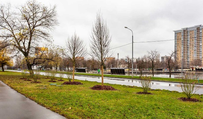 Более 1600 деревьев и кустарников высадили вдоль Алтуфьевского шоссе