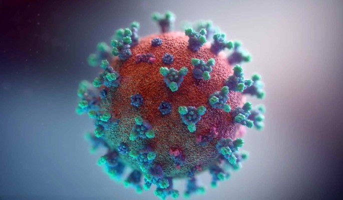 Неизвестным ранее мутант-штаммом коронавируса заразились 12 человек 