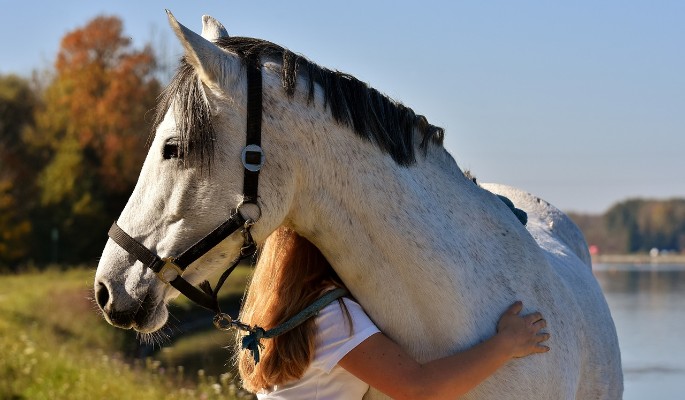 "Разрыв печени": прибитую лошадиным копытом девочку заново собрали врачи