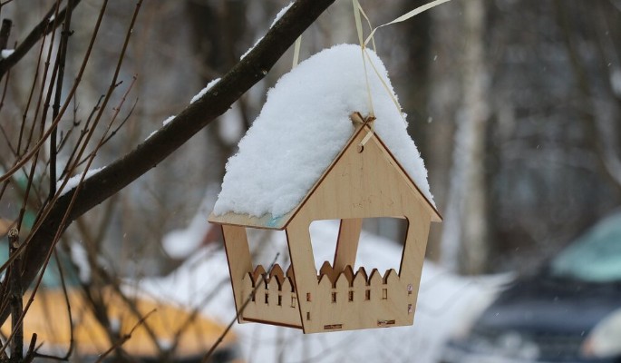 Листопад добрых дел: москвичи помогут животным подготовиться к зиме