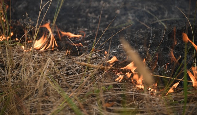 Огнеборцы: россиян хотят обязать тушить пожары на своей земле