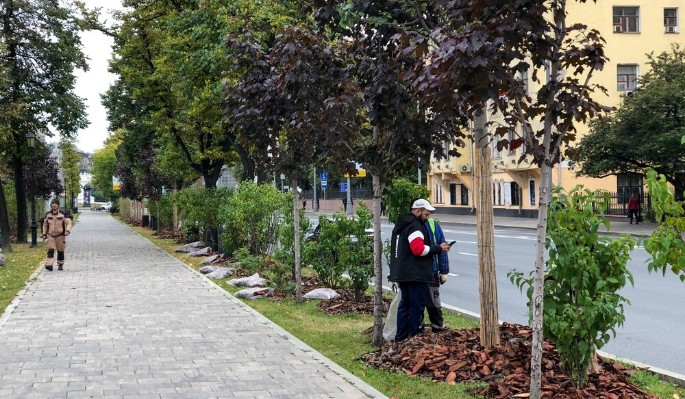 На улицах и магистралях Москвы высадят более пяти тысяч деревьев