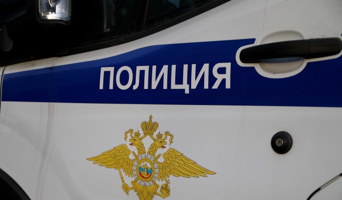 Полиция в Подмосковье поймала наркокурьера с мефедроном 