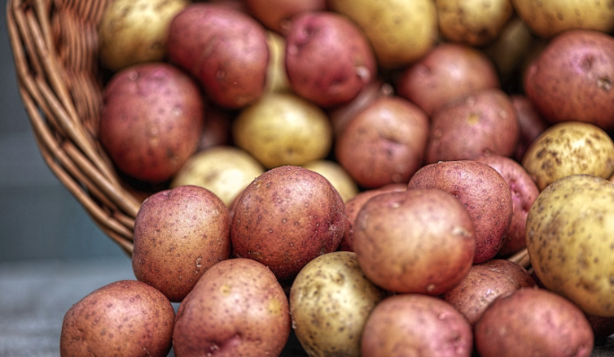 В России резко подешевел картофель