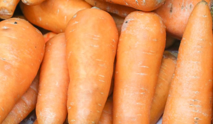 Морковку петербуржца признали самой большой в России