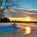 Максим-утешитель: как привлечь семейное счастье и зачем говорить с березами 3 февраля