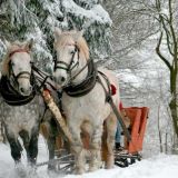 Григорий-весноуказатель: что нужно обязательно сделать 7 февраля
